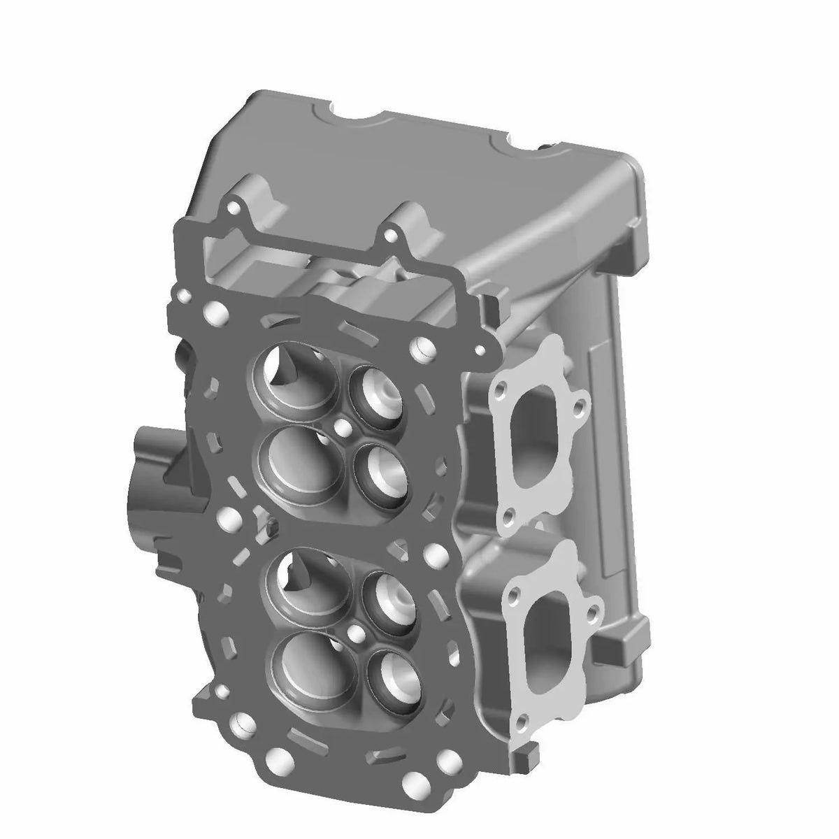 POLARIS CYLINDER HEAD ASSEMBLY