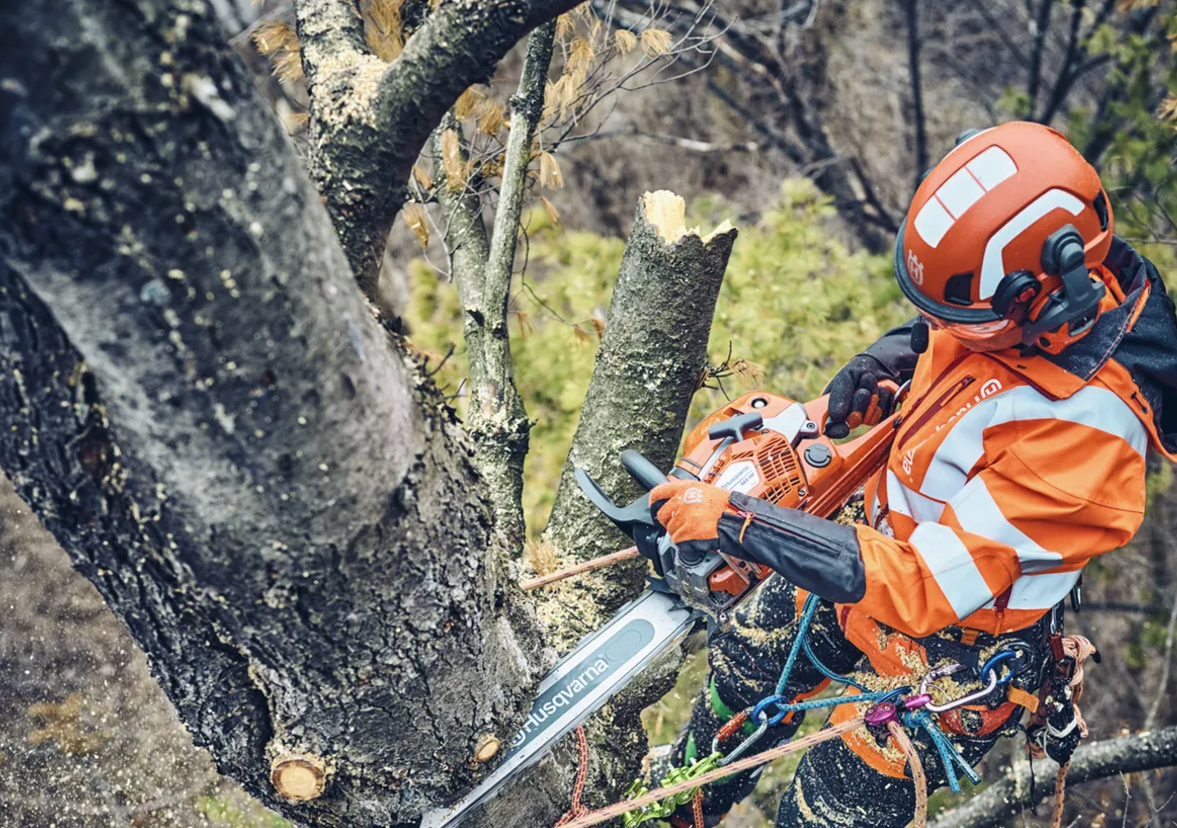 HUSQVARNA 560 XPG MARK II 15" SN S35G, AUTOTUNE 3