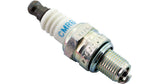 DUELL NGK sparkplug CMR6H
