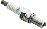 DUELL NGK sparkplug CR7EB Solid