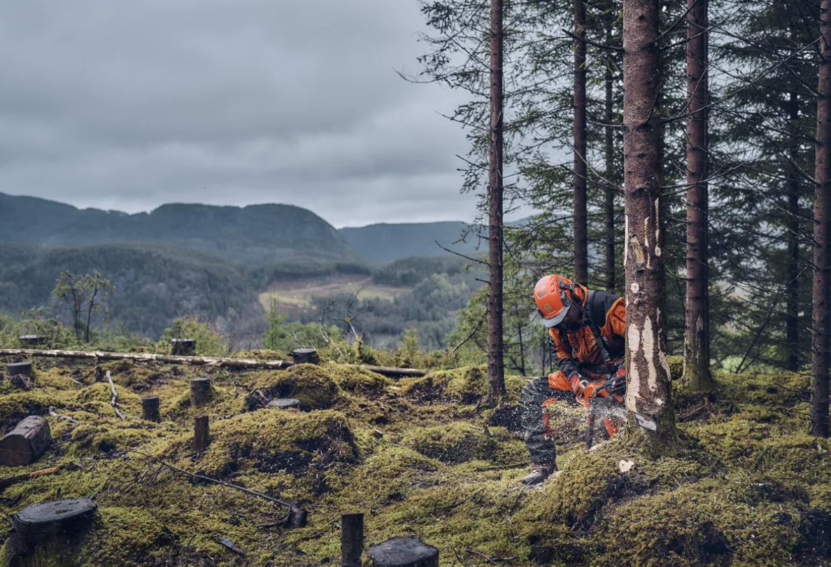HUSQVARNA 540 XP MARK III 14"