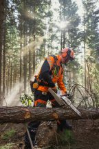 STIHL MSA 260.0 C-O W Akkukäyttöinen moottorisaha