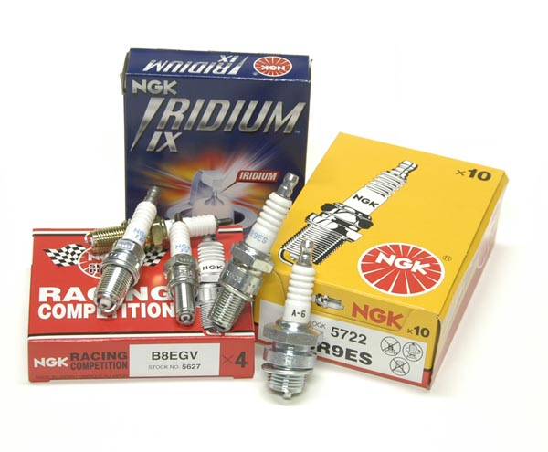 DUELL NGK sparkplug CR8HSA