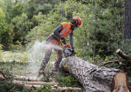 HUSQVARNA 550XPG II, 13" .325"