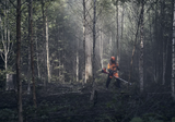 HUSQVARNA 545FXT 2025