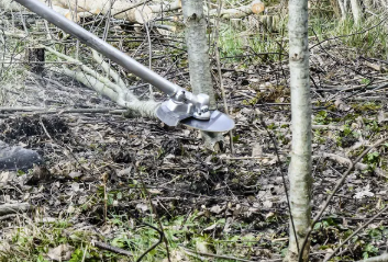 HUSQVARNA 545FX AUTOTUNE, SCARLETT 225-24 (1"), BALANCE XT