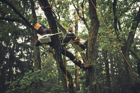 STIHL MSA 190.0 T Akkukäyttöinen moottorisaha