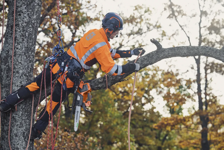 HUSQVARNA T535I XP EI AKKU/LATURIA 12".325" X-CUT SP21G MINI PIXEL