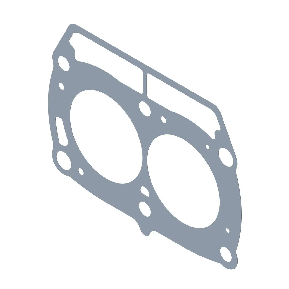 POLARIS CYLINDER HEAD GASKET