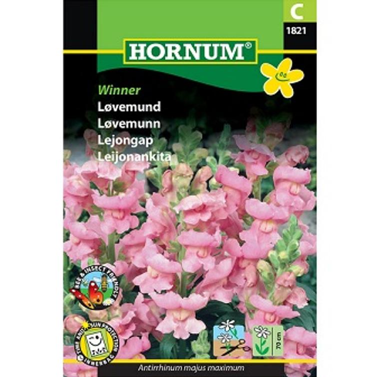 LEIJONANKITA WINNER 1821