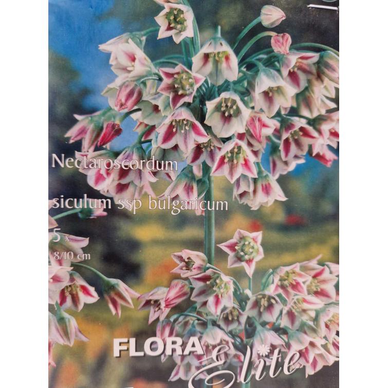 B&S Säätimen jousi 690563