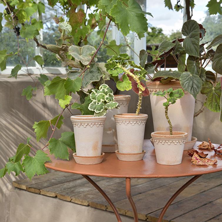 RUUKKU KÖBENHAVNER 16CM + ALUSVATI ROSA 866KH16RO