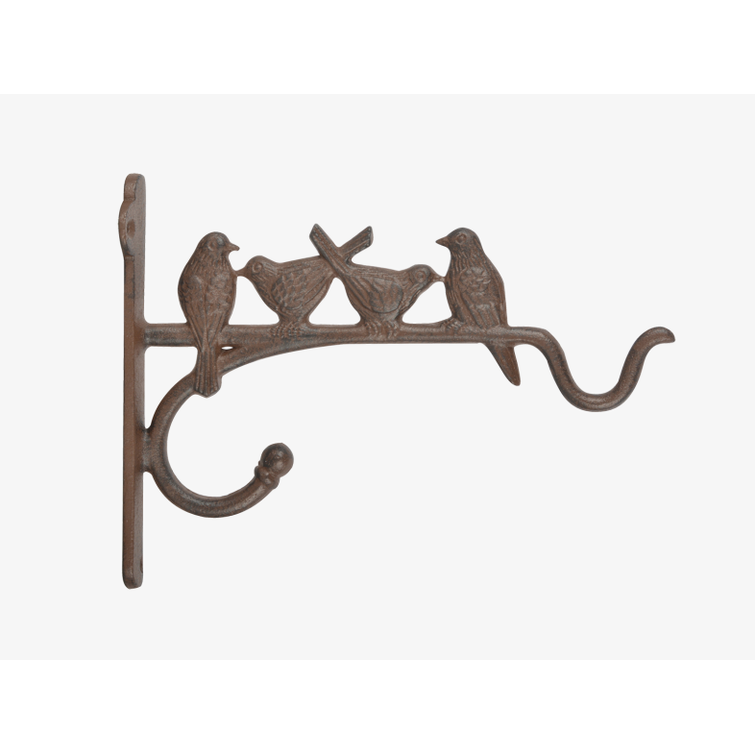 AMPPELIKOUKKU LINNUILLA BPH69