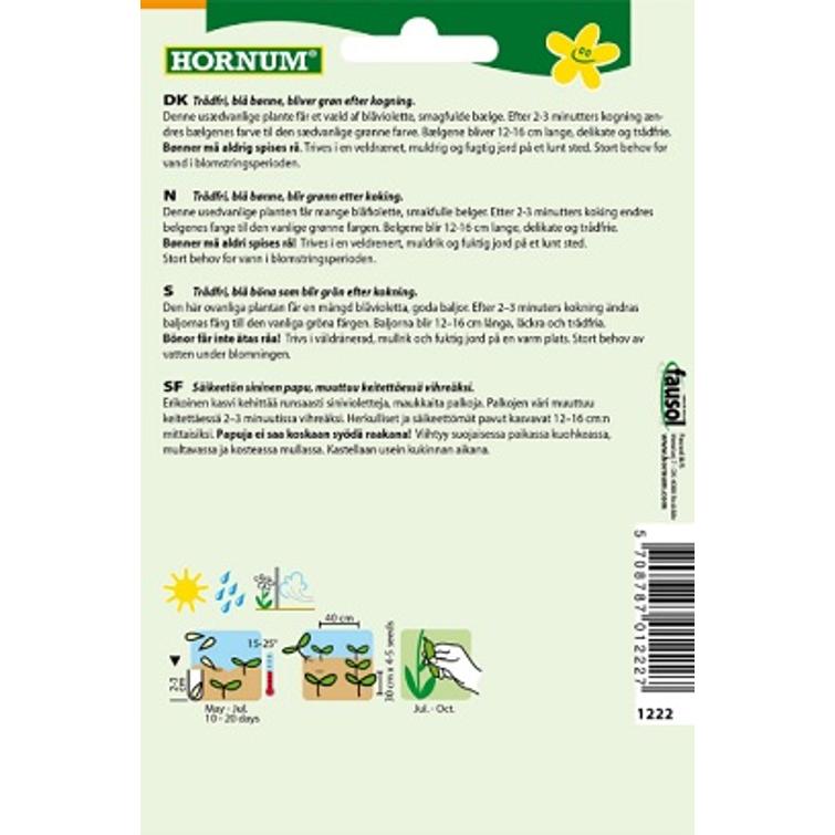 PENSASPAPU PURPLE KING 1222