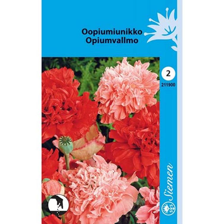 OOPIUMIUNIKKO KERROTTU SEKOITE, SIEMEN