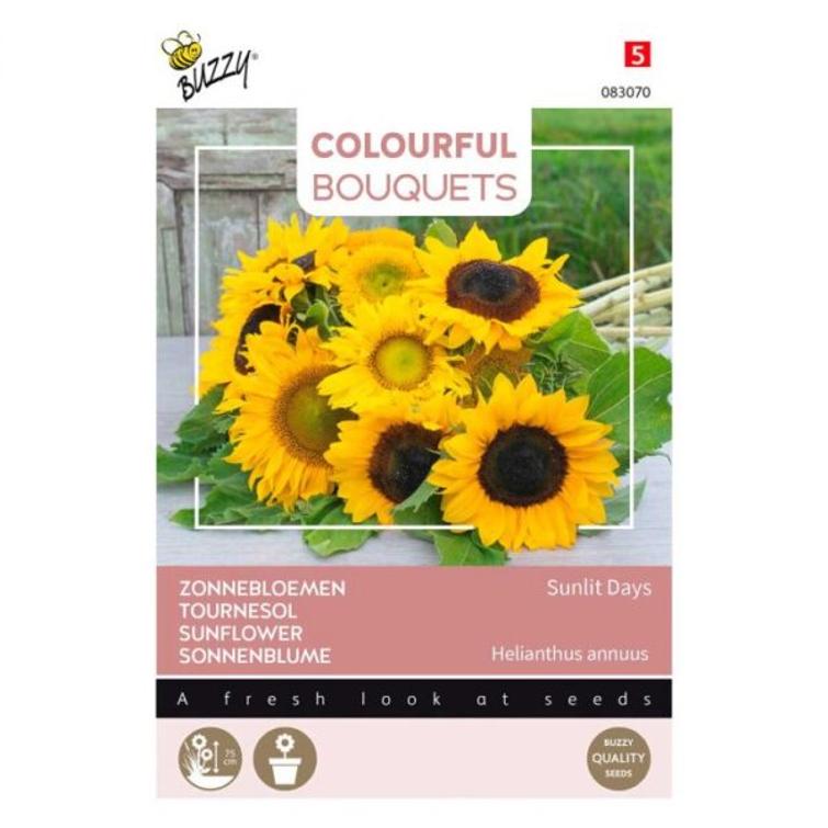 BUZZY COLOURFUL BOUQUETS SUNLIT DAYS 83070