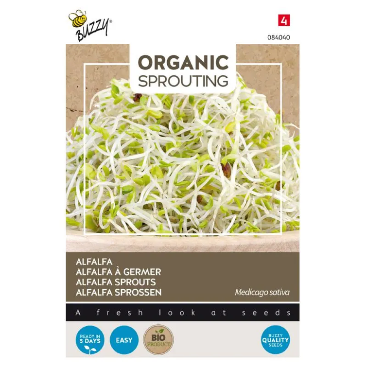 BUZZY BIO SPROUTING ALFALFA, SIEMEN 984040