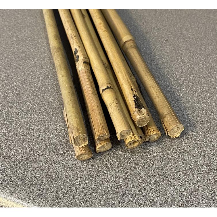 TUKIKEPPI BAMBU 120 CM, 20 KPL 92218