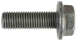 POLARIS HEX FLANGE SCREW 10 MM X 1.25 MM X 30 MM