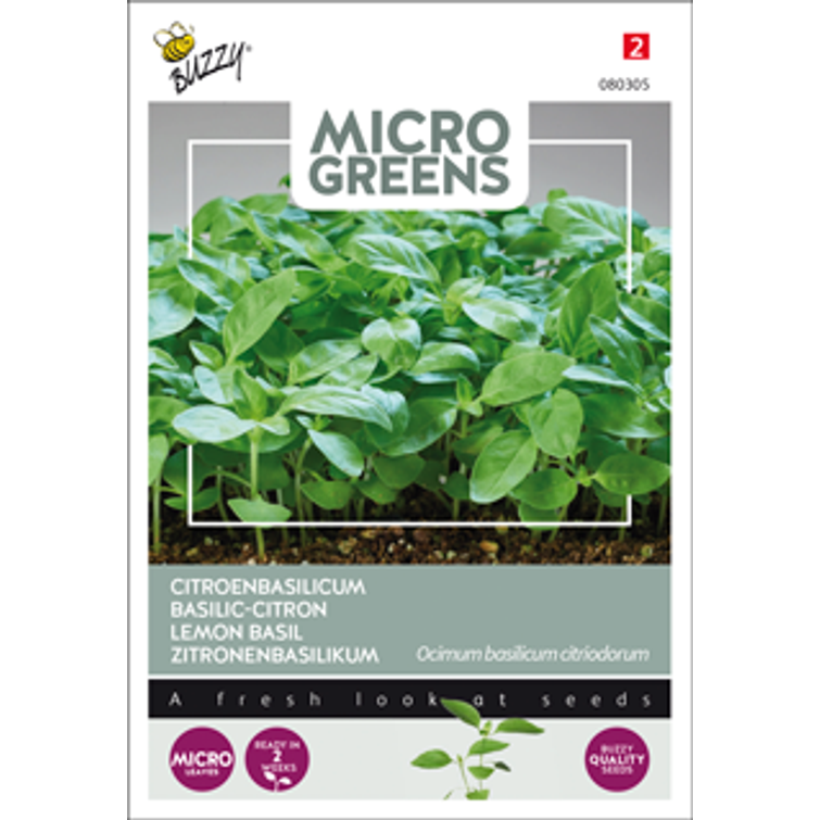 BUZZY MICRO GREENS SITRUUNABASILIKA 980305