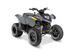 POLARIS Phoenix 200 - Gray (MD) 2026