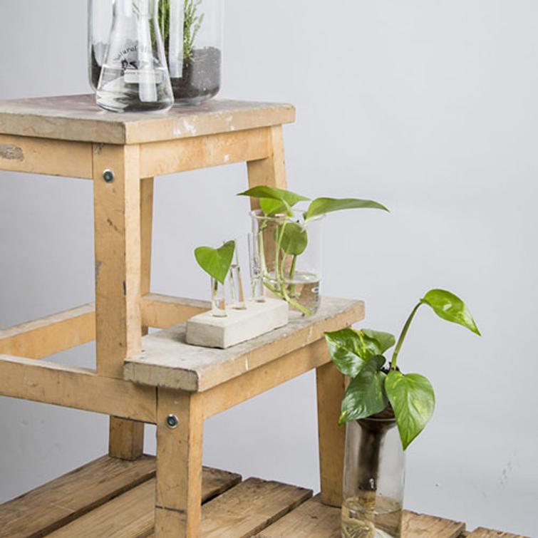 ITSEKASTELEVA JUURRUTUSPULLO AGG46