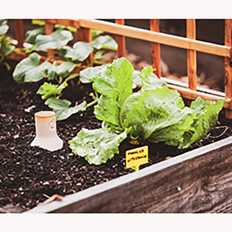 ALTAKASTELURUUKKU OST-OYA 0,5L 93337