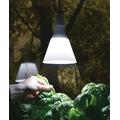 Nelson Garden Kasvivalo LED-lamppu E27 j 5571