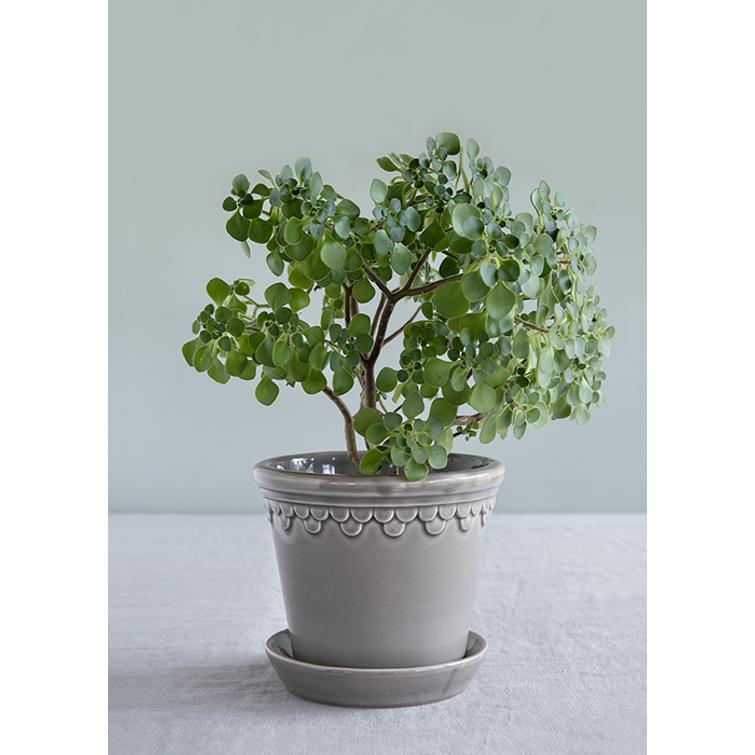 RUUKKU KÖBENHAVNER 21CM + ALUSVATI HELME 866KH21PE