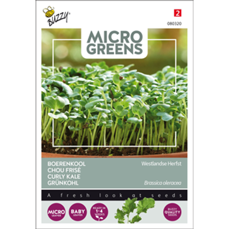 BUZZY MICRO GREENS LEHTIKAALI 980320