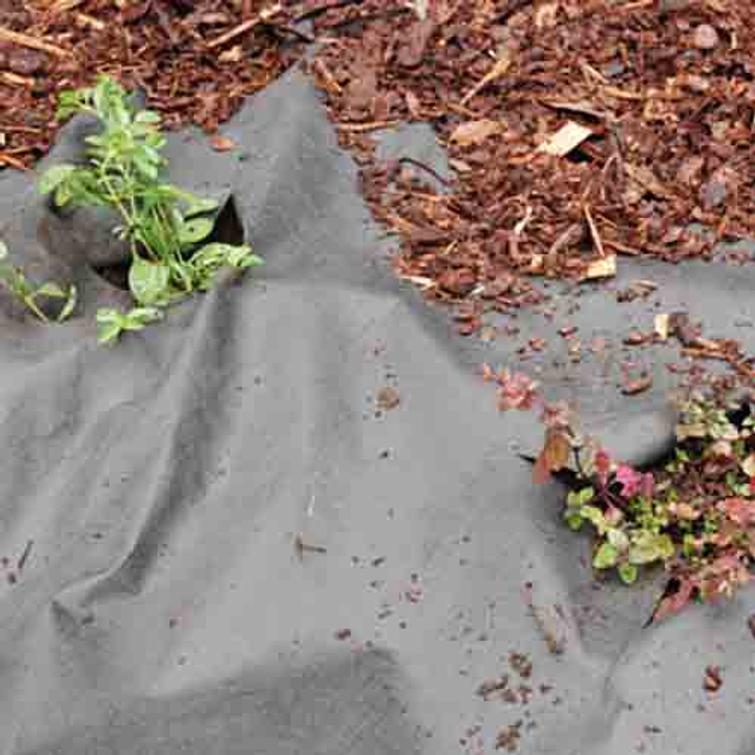 BIOKANGAS 1x100M 45.03.002