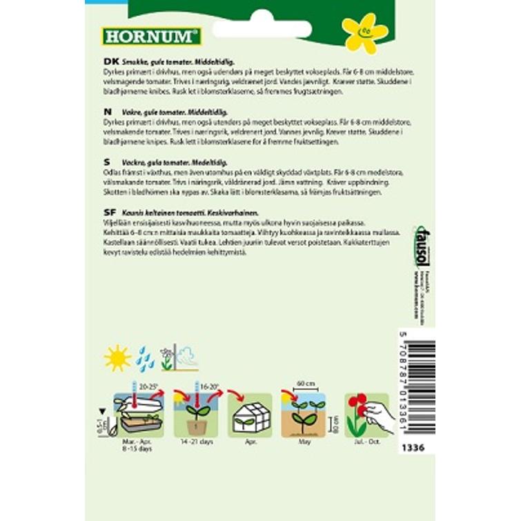 TOMAATTI GOLDENE KÖNIGIN 1336
