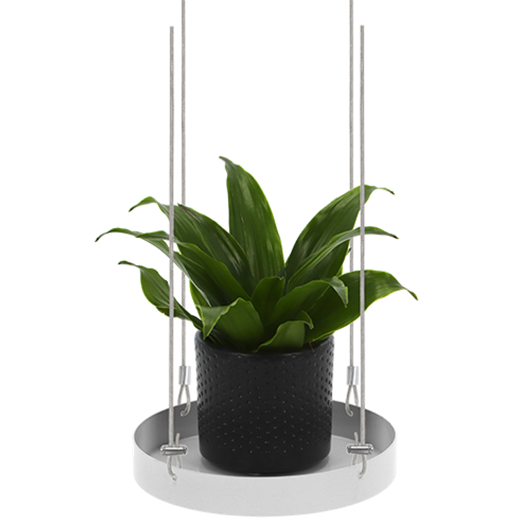 AMPPELI WINDOW DRESSING PYÖREÄ 14 CM