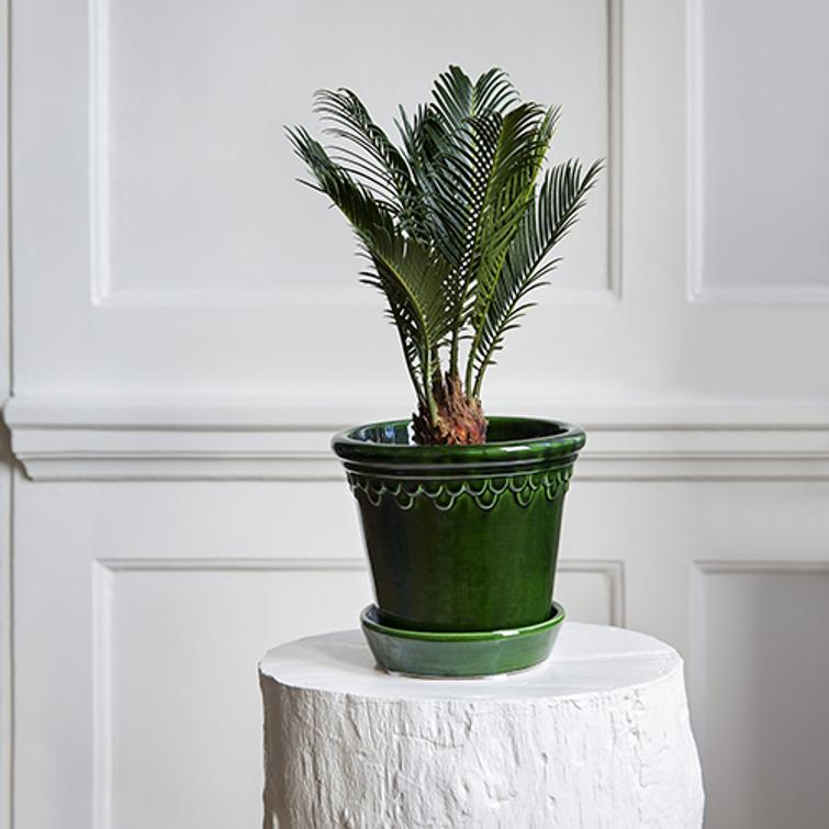 RUUKKU KÖBENHAVNER 25CM + ALUSVATI VIHRE KCG25P