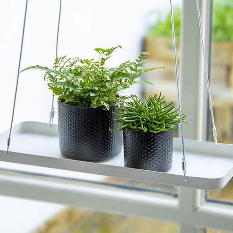 AMPPELI WINDOW DRESSING SUORAKULMIO 38 PY107