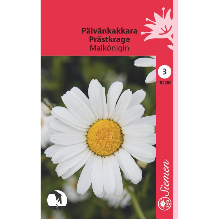 PÄIVÄNKAKKARA MAIKÖNIGIN 182200