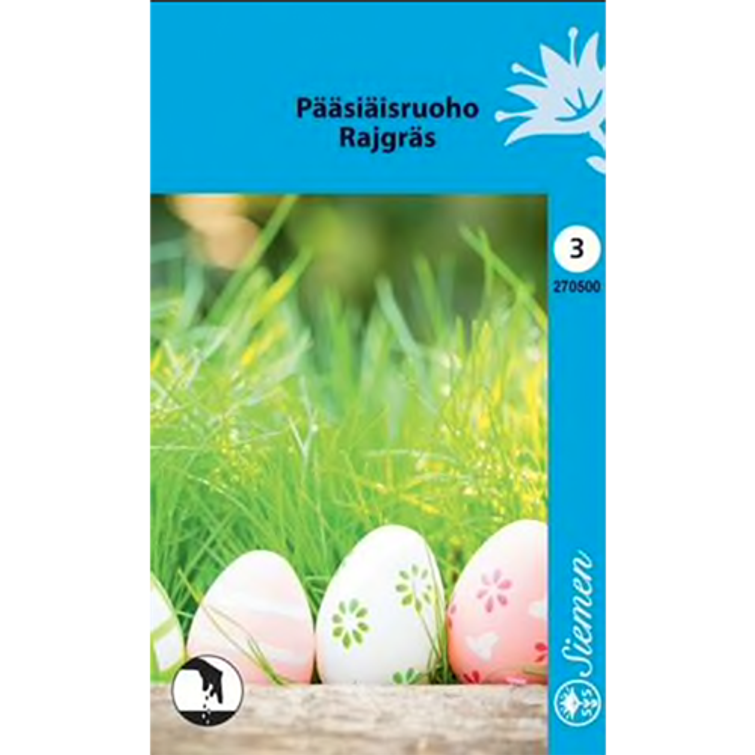 P&Auml;&Auml;SI&Auml;ISRUOHO / RAIHEIN&Auml;