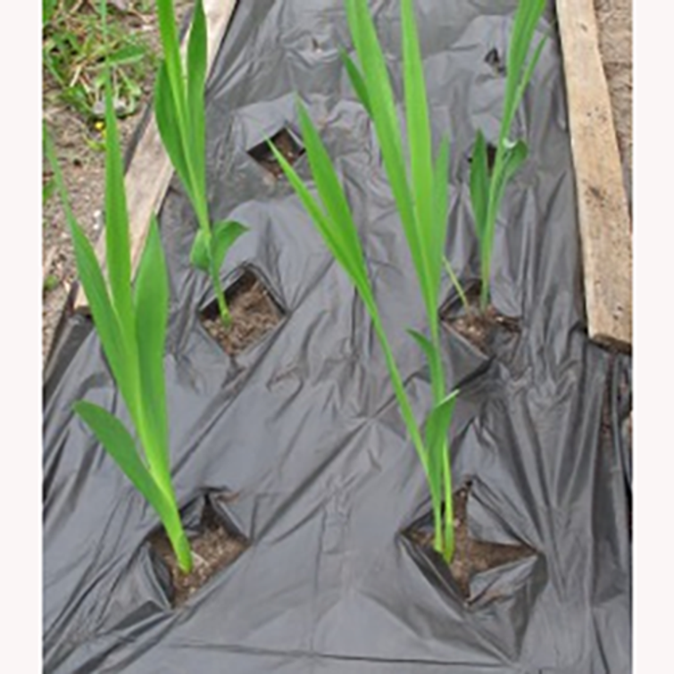 PUUTARHAKALVO KOMPOSTOITUVA 1 X 10M 45.01.003