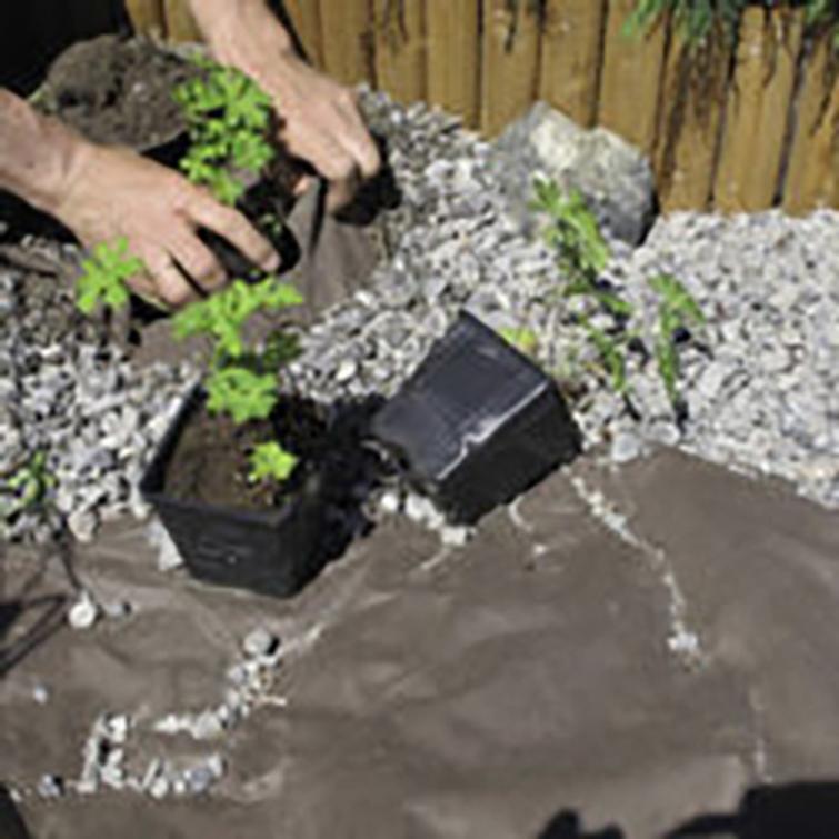 MAISEMOINTIKANGAS 16M2 1,6x10M