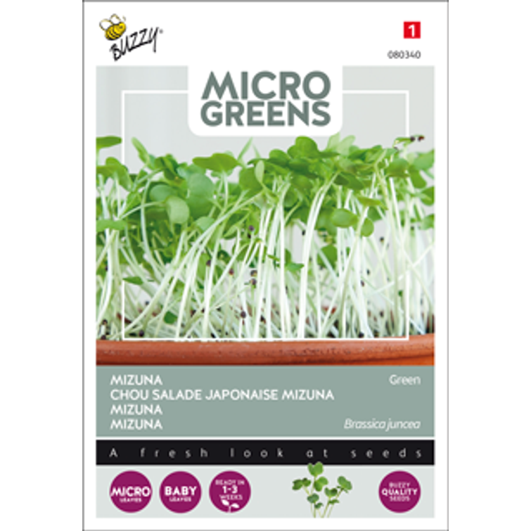 BUZZY MICRO GREENS MIZUNA