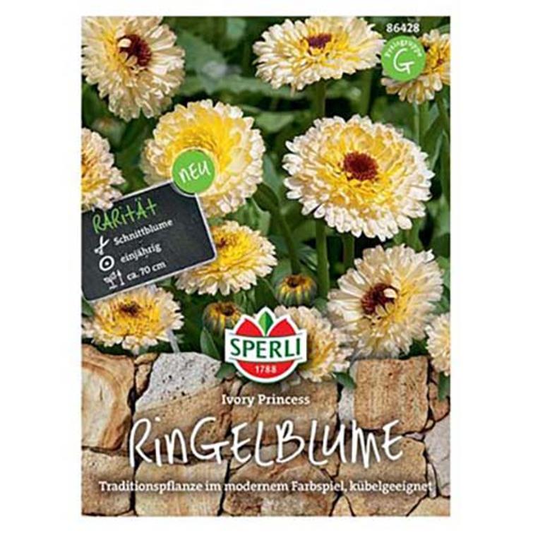 TARHAKEHÄKUKKA IVORY PRINCESS, SPERLI 170950