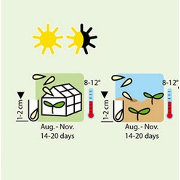 SALAATTIKLEITONIA POSTELEIN 1127