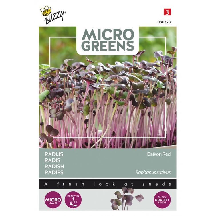 BUZZY MICRO GREENS JAPANINRETIKKA