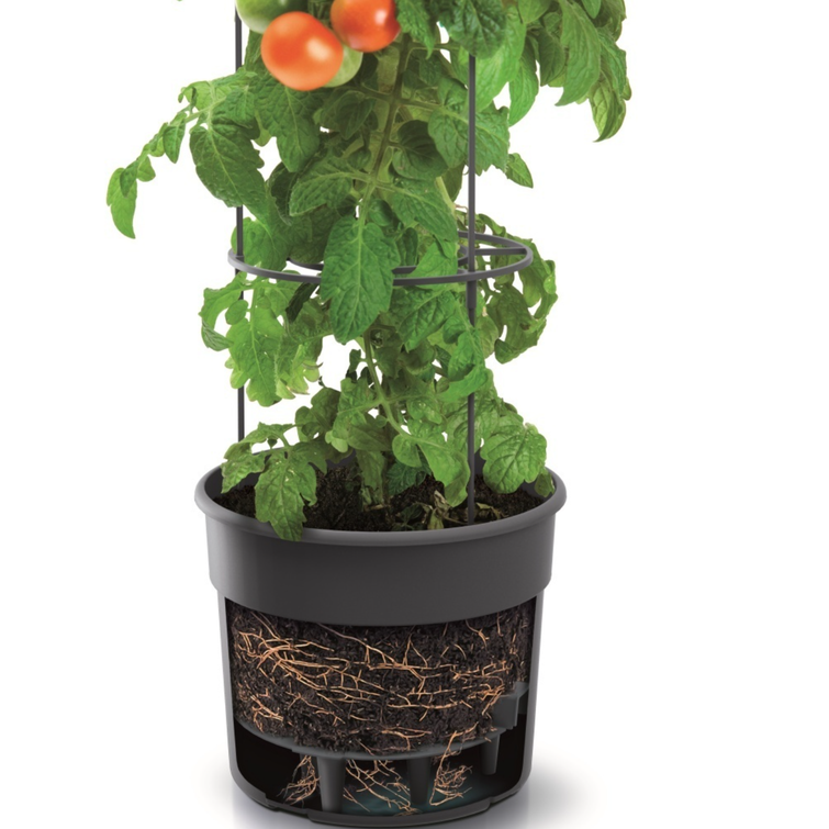 TOMATOPOT TOMAATINVILJELYRUUKKU TUKIKEHI 60.10.014
