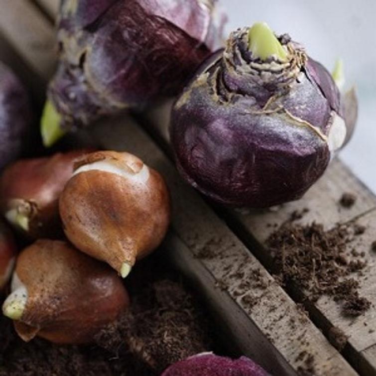 KUKKASIPULIRAVINNE 200 G KEKKIL&Auml; 62106