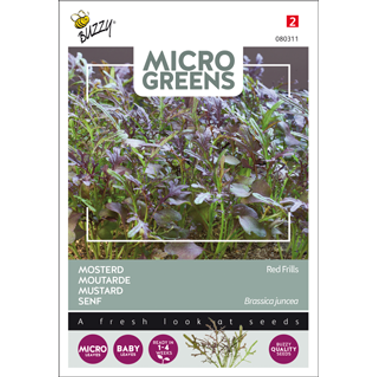 BUZZY MICRO GREENS SAREPTANSINAPPI 980311