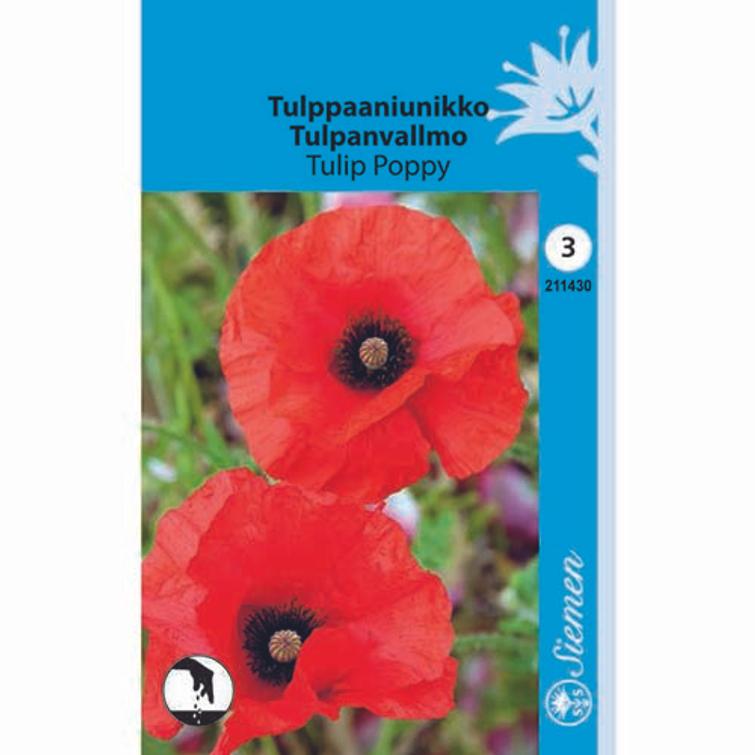 TULPPAANIUNIKKO 'TULIP POPPY', SIEMEN 211430