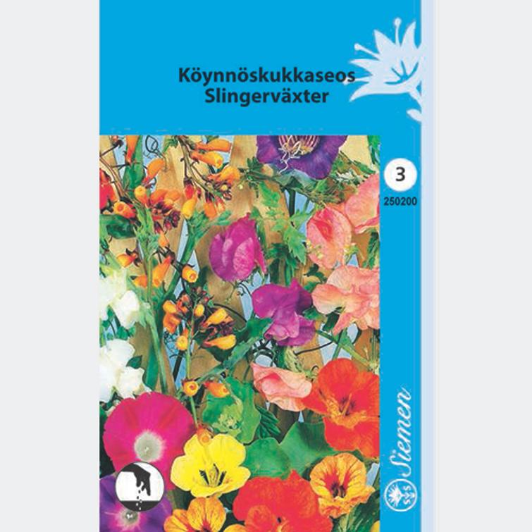 KÖYNNÖSKUKKASEOS, SIEMEN 250200