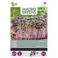 BUZZY MICRO GREENS JAPANINRETIKKA