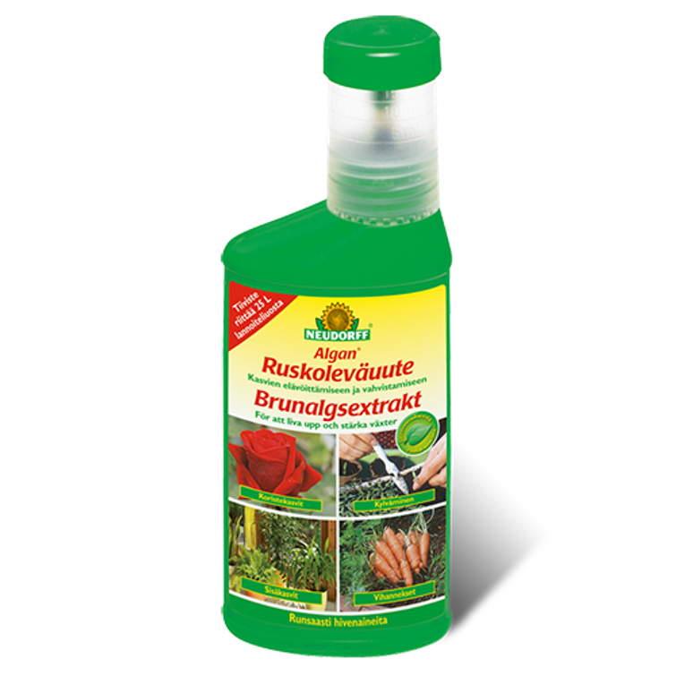 ALGAN RUSKOLEVÄUUTE 250ML 74250